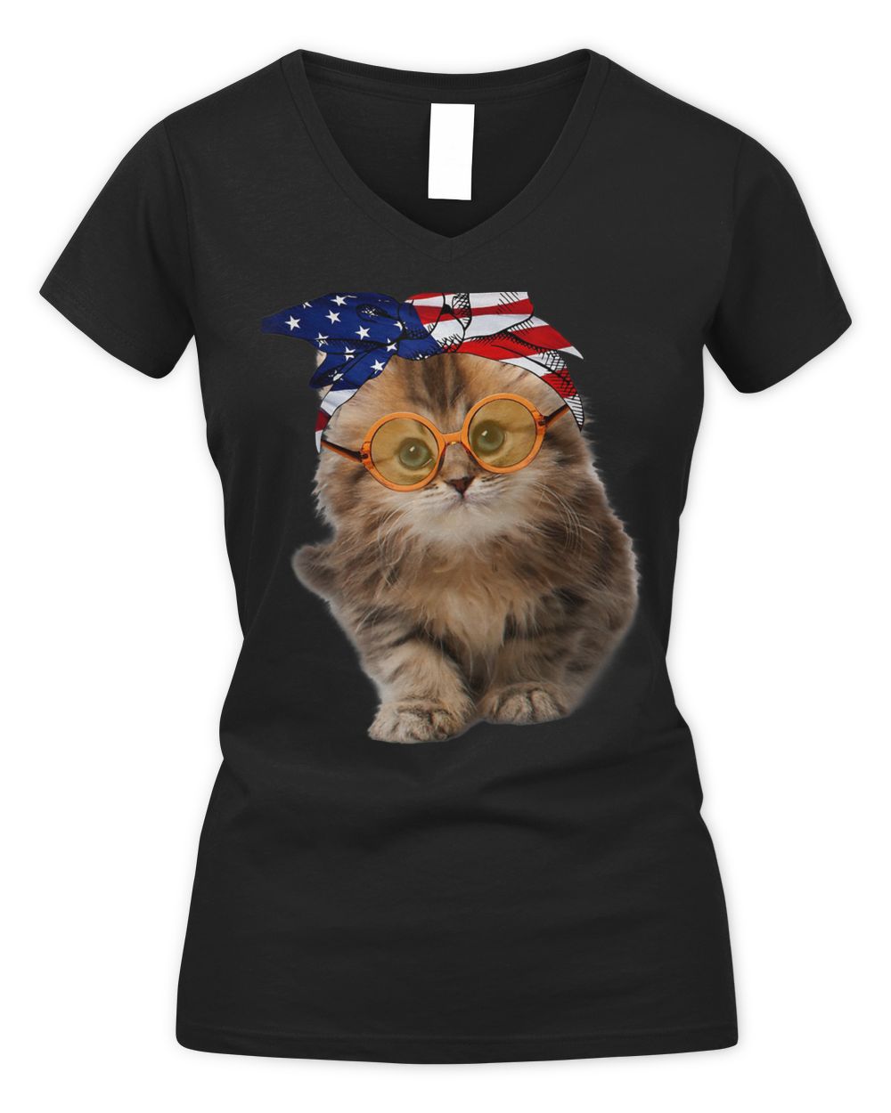 Cats 365 Funny Cute Cat American Flag USA 4th of July Cats T-Shirt Women's V-Neck T-Shirt black s