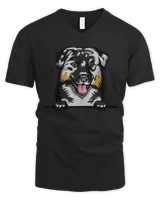 Men's V-Neck T-Shirt Men's V-Neck T-Shirt